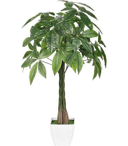 Amazon｜Botanical life+ フェイクグリーン 観葉植物 光触媒 日本製 消